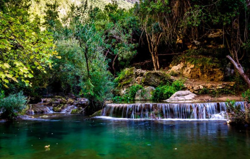 Excursion from chefchaouen to the akchour