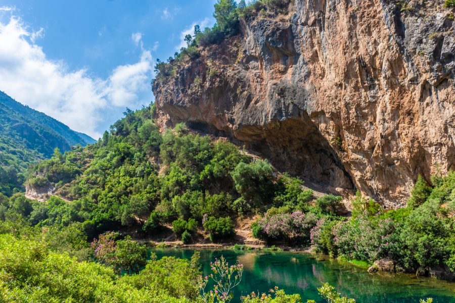 🌲 Nature & Landscape